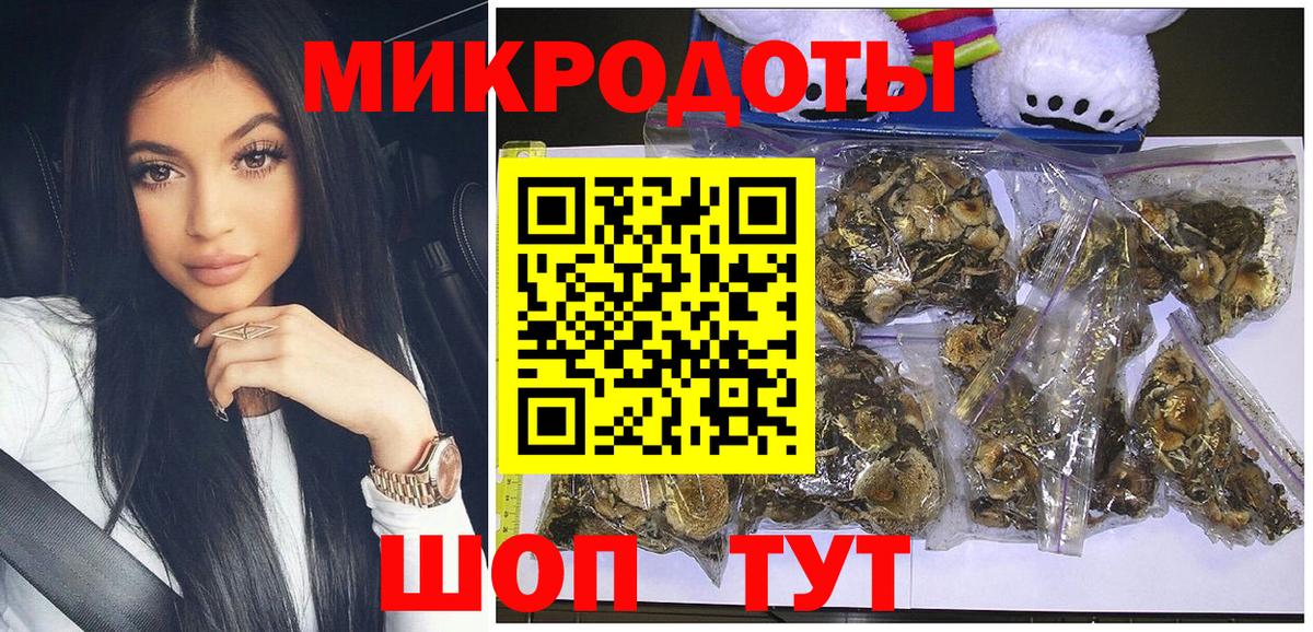 Галлюциногенные грибы Psilocybine cubensis Пыть-Ях